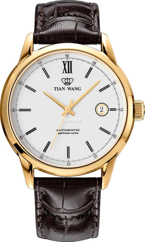 TianWang,Other ,Stainless Steel,White,Automatic,Day,Sapphire,Glass,GS5920T,GS5920T/D