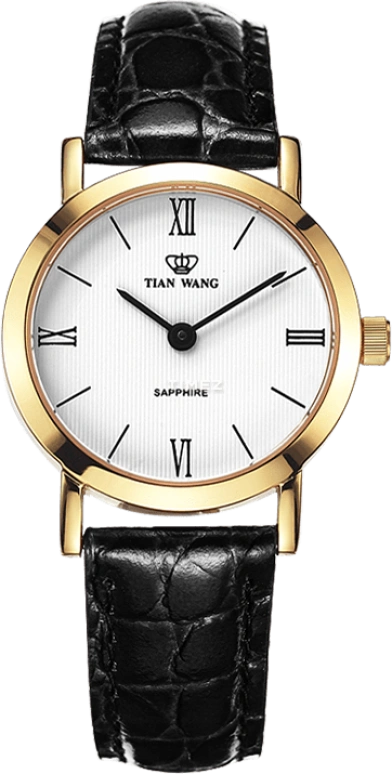TianWang,Other 26mm,26mm,Stainless Steel,White,Quartz,Sapphire,Glass,Round,LS3612G