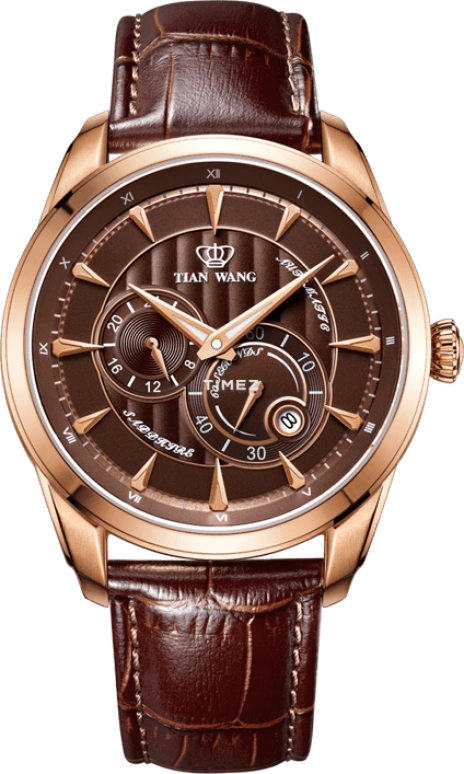 TianWang,Leader ,Stainless Steel,Coffee,Automatic,Day,Sapphire,Glass,GS5863P,GS5863P/3D
