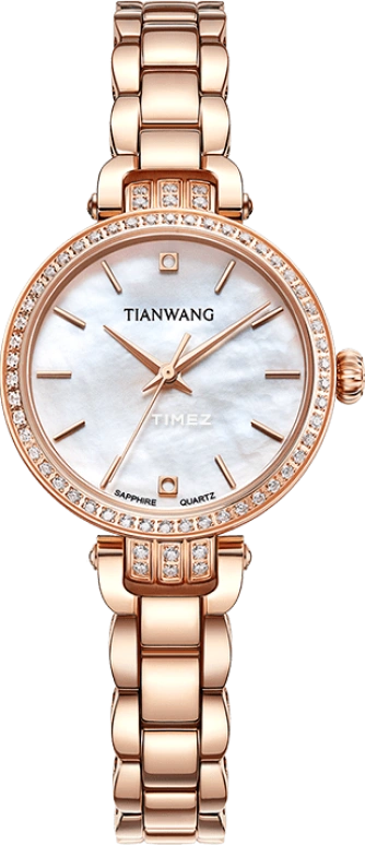 TianWang Star LS31241P.P.W