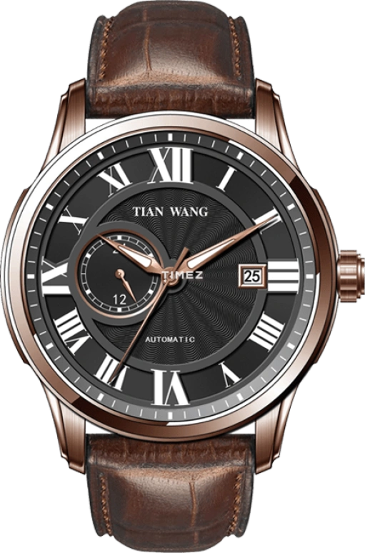 TianWang,Cardiac ,Stainless Steel,Rose Gold,Black,Automatic,Day,Sapphire,Glass,GS5902P,GS5902P/DD