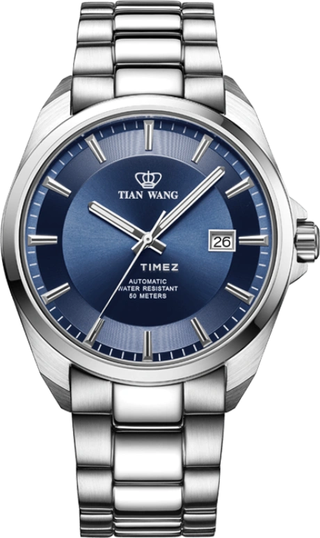 TianWang,MOUNTAINS ,Stainless Steel,Blue,Automatic,Day,Sapphire,Glass,GS51004S,GS51004S.D.S.U