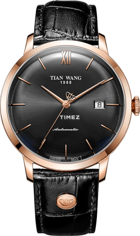 TianWang MI·X GS51013P.D.LB.B