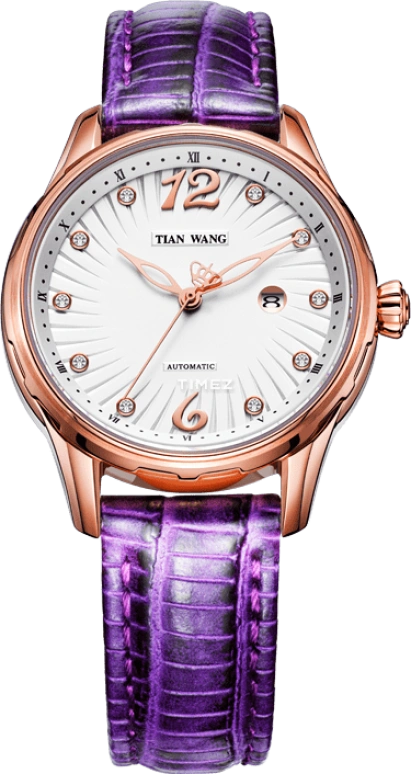 TianWang Leader LS5769P/D-P-1