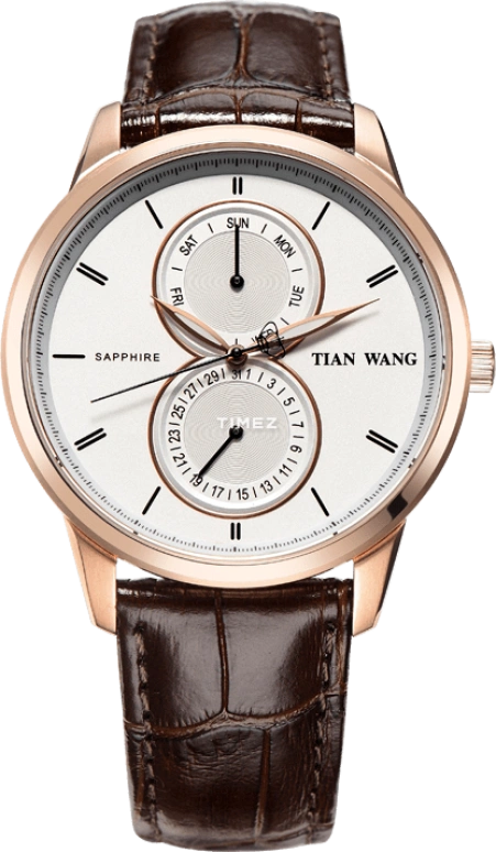 TianWang,Other ,Stainless Steel,White,Quartz,Date,Day,GS3804P,GS3804P/DD