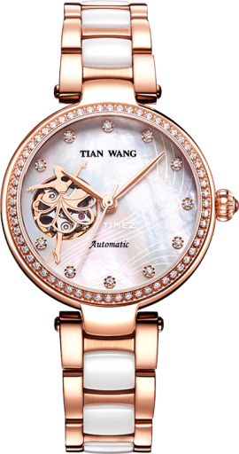 tian-wang tian-wang-ms 