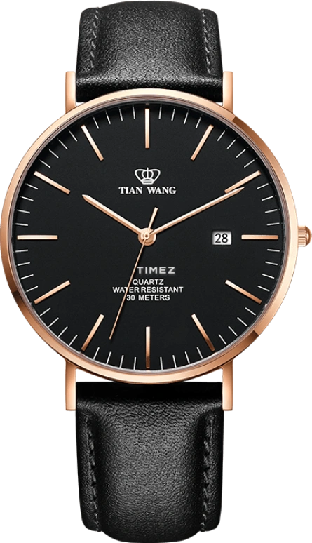 TianWang,TWINKLE ,Stainless Steel,Black,Quartz,Day,Glass,GS3954P,GS3954P.D.LB.B