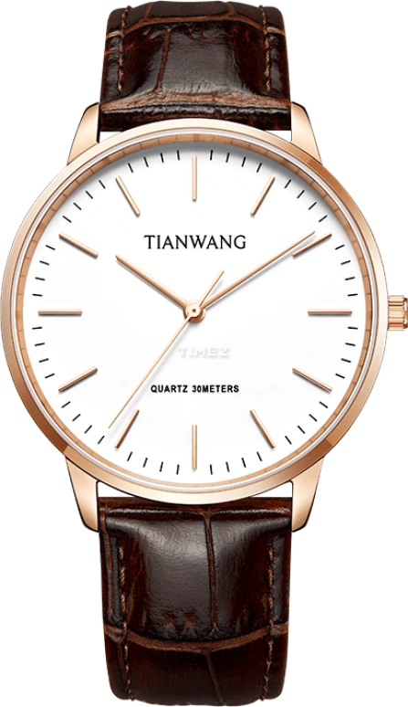 TianWang,Sea 40mm,40mm,Stainless Steel,White,Quartz,Crystal Glass,Round,GS31192P,GS31192P.LC.W.A