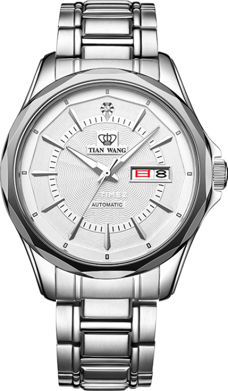 TianWang,MOUNTAINS ,Stainless Steel,White,Automatic,Date,Day,GS5703S,GS5703S/DD-B
