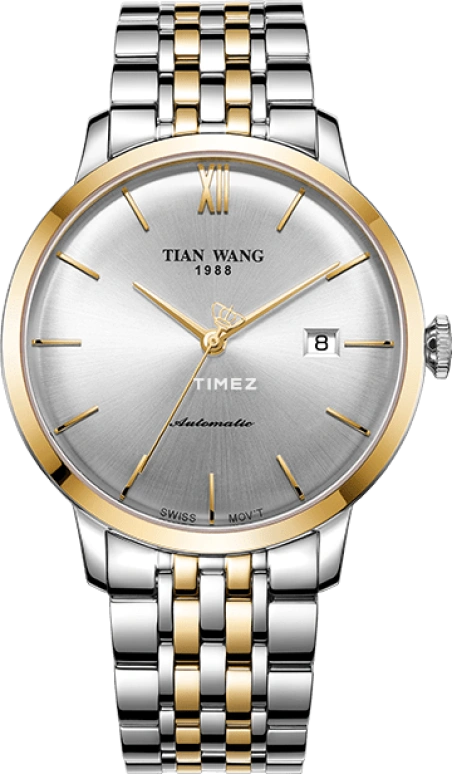 TianWang,MI·X 40.50mm,40.50mm,Stainless Steel,Silver White,Automatic,Day,Glass,GS51014T,GS51014T.D.T.S