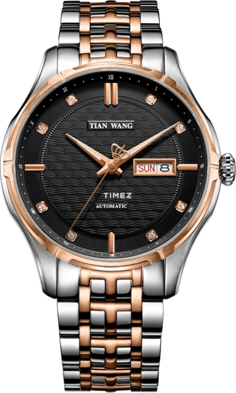 TianWang Leader GS5763TP/DD-1