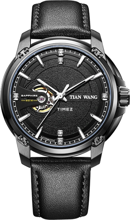 TianWang INOVATION GS51049B.LB.B