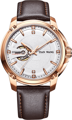 tian-wang tian-wang-inovation 