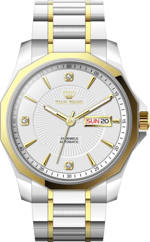 TianWang,Cardiac ,Stainless Steel,White,Automatic,Date,Day,GS5705T,GS5705T/DD-1