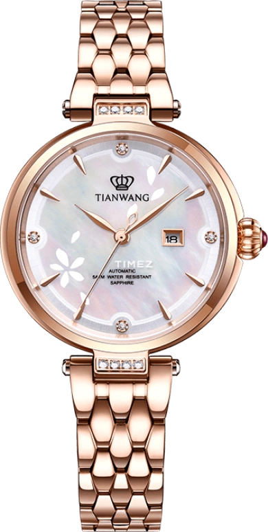 TianWang Star LS51176P.D.P.W