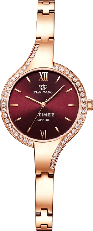 TianWang Star LS31017P.P.R.A