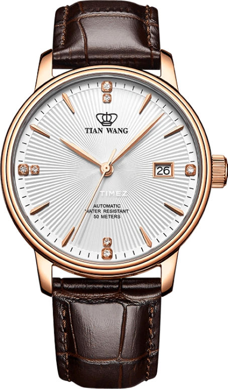 TianWang,Kunlun ,Stainless Steel,Rose Gold,Silver White,Automatic,Day,Sapphire,Glass,GS51000P,GS51000P.D.LC.S