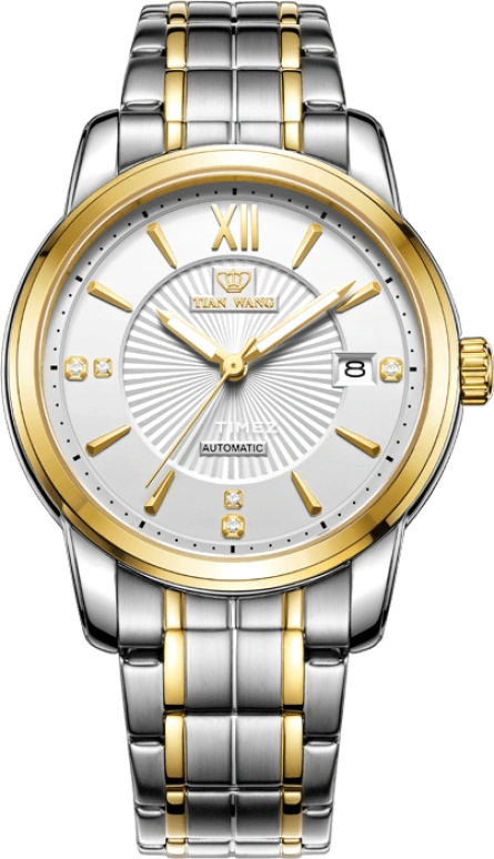 TianWang,Other ,Stainless Steel,Silver White,Automatic,Day,Sapphire,Glass,GS5973T,GS5973T/D