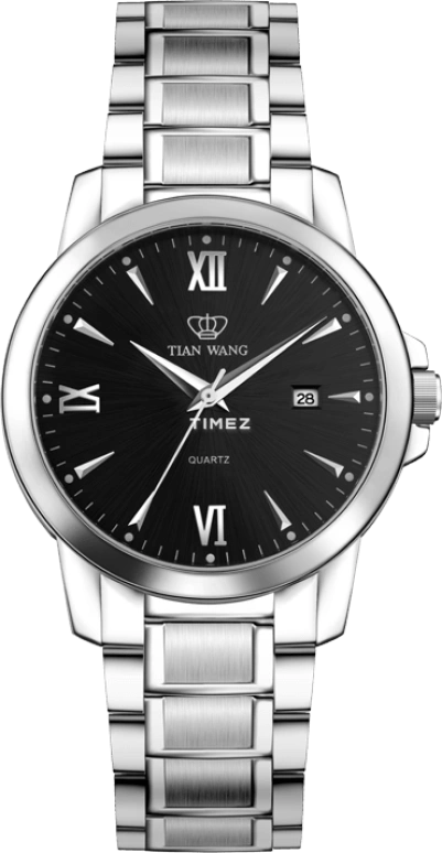 TianWang,Other 38mm,38mm,Stainless Steel,Black,Quartz,Day,Hardlex,Glass,GS3695S,GS3695S/D