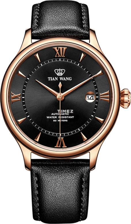TianWang,Kunlun ,Stainless Steel,Black,Automatic,Day,Sapphire,Crystal Glass,GS51133P,GS51133P.D.LB.B