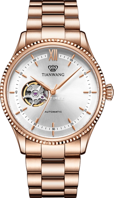 TianWang,Kunlun 40.50mm,40.50mm,Stainless Steel,Silver White,Automatic,Sapphire,Glass,Round,GS51232P,GS51232P.P.S