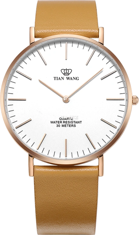 TianWang TWINKLE GS3851P-A