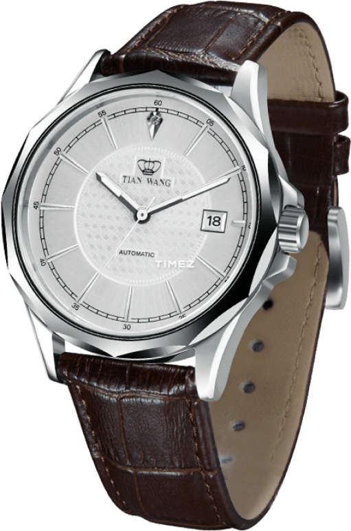 TianWang,Other ,Stainless Steel,Silver White,Automatic,Day,Sapphire,Glass,GS5792S,GS5792S/D-A
