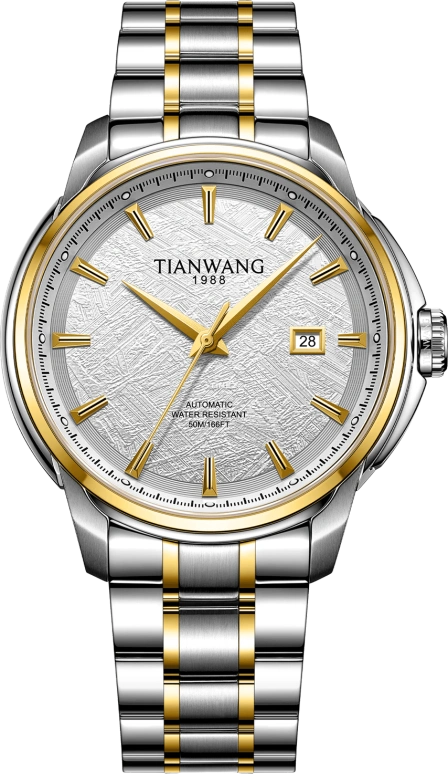 TianWang The Conqueror GS51216T.D.T.W-1