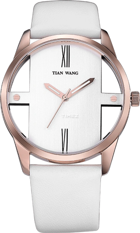 TianWang,Other 40mm,40mm,Stainless Steel,White,Quartz,Sapphire,Glass,Round,LS3697P