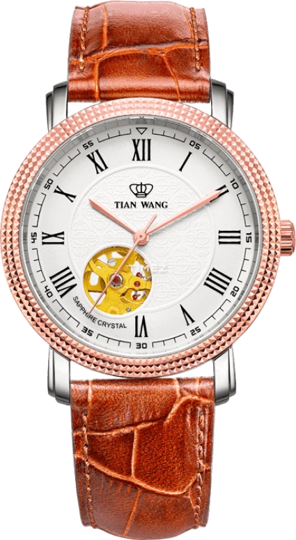 TianWang,Golden Knight ,Stainless Steel,White,Quartz,Sapphire,Crystal Glass,Round,81199