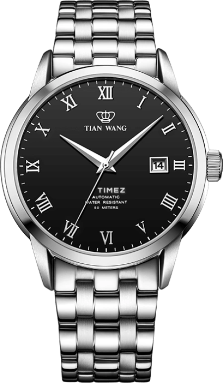 TianWang,Other 40mm,40mm,Stainless Steel,Black,Automatic,Day,Sapphire,Crystal Glass,GS5917S,GS5917S/D-B