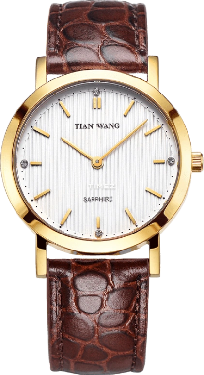 TianWang Sea GS3799G