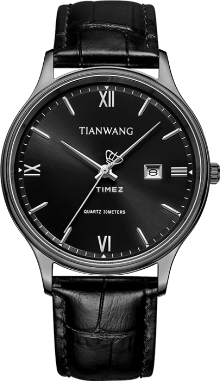 TianWang,Sea 40mm,40mm,Stainless Steel,Black,Quartz,Day,Crystal Glass,GS31533B,GS31533B.D.LB.B