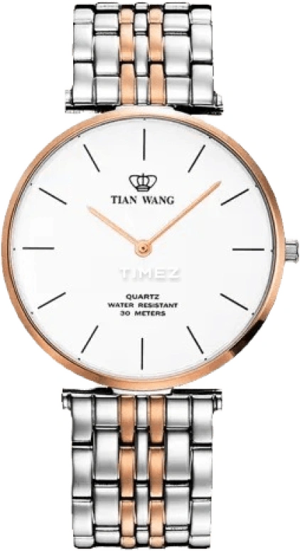 TianWang TWINKLE GS3910TP