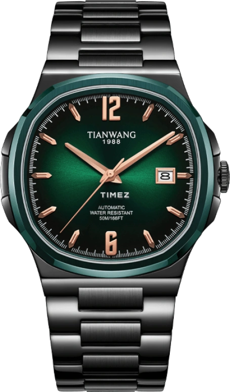 TianWang WEI GS51234BE.D.B.E
