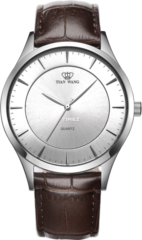 TianWang Other GS3856S