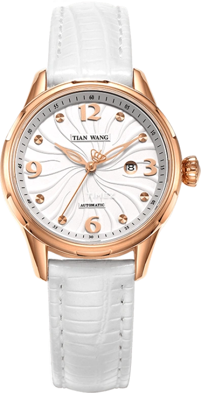 TianWang,Star ,Stainless Steel,White,Automatic,Day,Sapphire,Glass,LS5831P,LS5831P/D-W