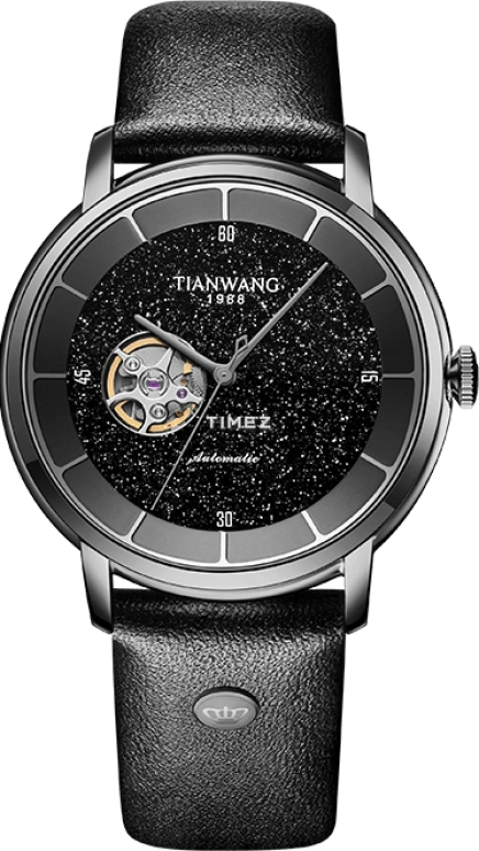 TianWang,MOUNTAINS ,Stainless Steel,Black,Automatic,Sapphire,Crystal Glass,Round,GS51143B,GS51143B.LB.B