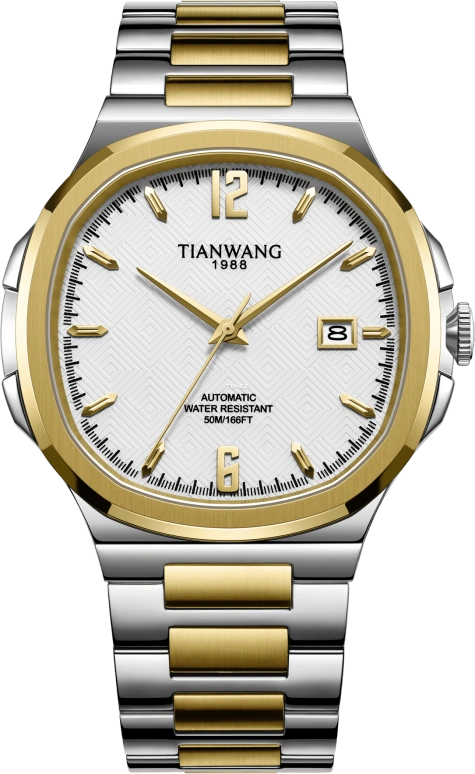TianWang WEI GS51297T.D.T.S