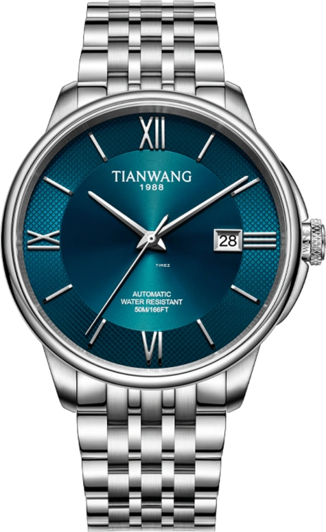 TianWang Permanent GS51310S.D.S.EU