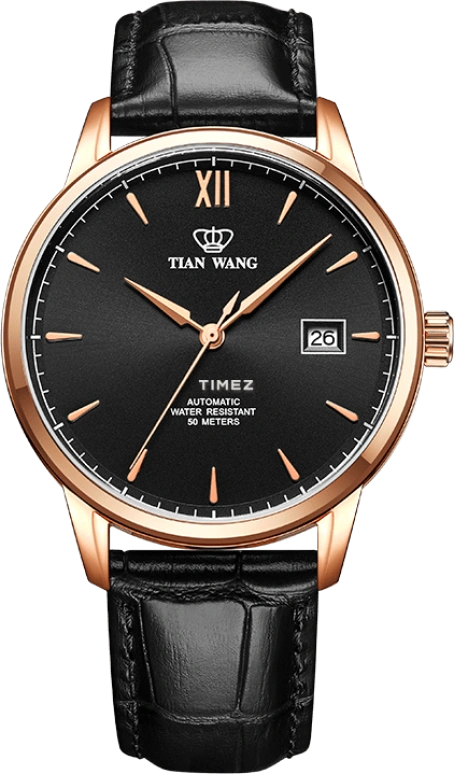 TianWang,Kunlun ,Stainless Steel,Black,Automatic,Day,Hardlex,Glass,GS5999P,GS5999P.D.LB.B