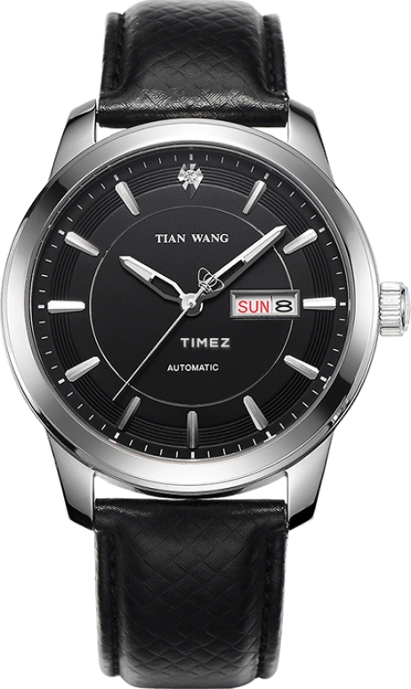 TianWang Other GS5846S/DD-B