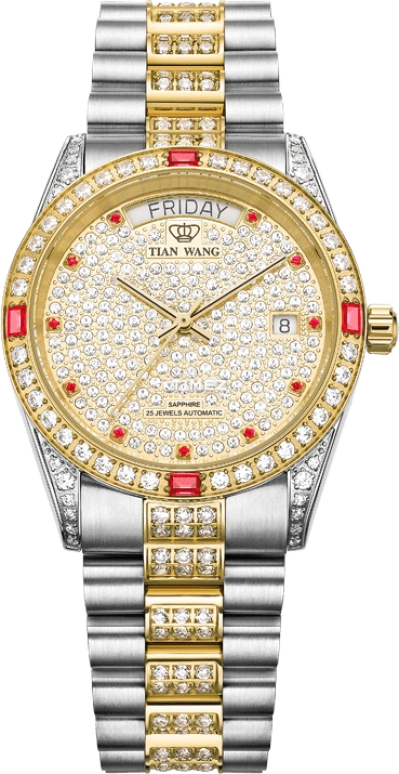 TianWang,Famous Anisan ,Stainless Steel,Gold,Automatic,Date,Day,GS5613T,GS5613T/DD