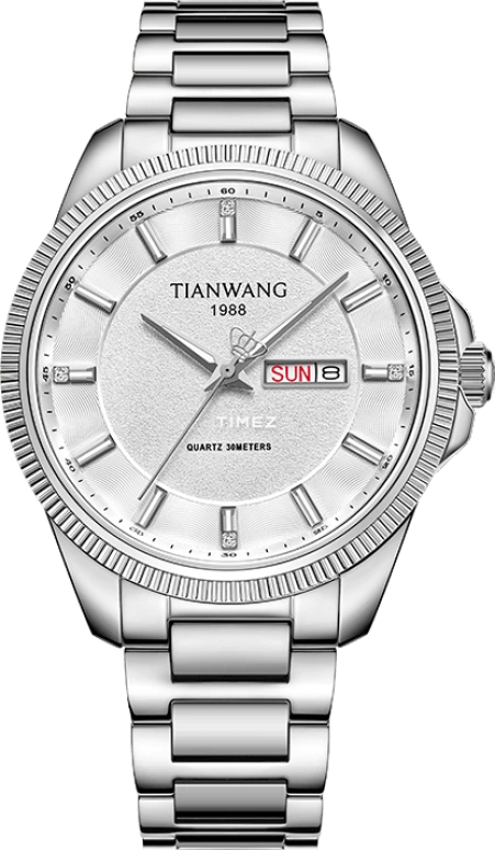 TianWang Other GS31530S.DD.S.W