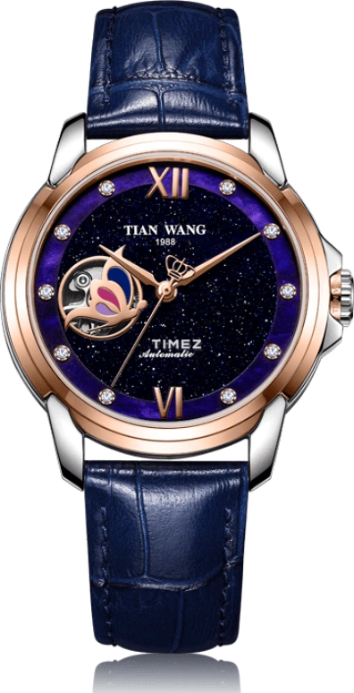TianWang Fille LS51104TP.LU.U