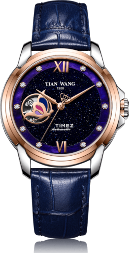 tian-wang tian-wang-fille 