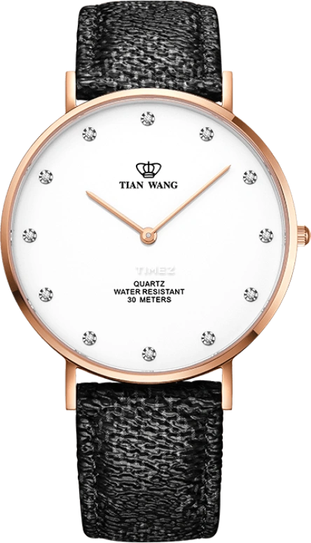 TianWang TWINKLE GS3968P-E