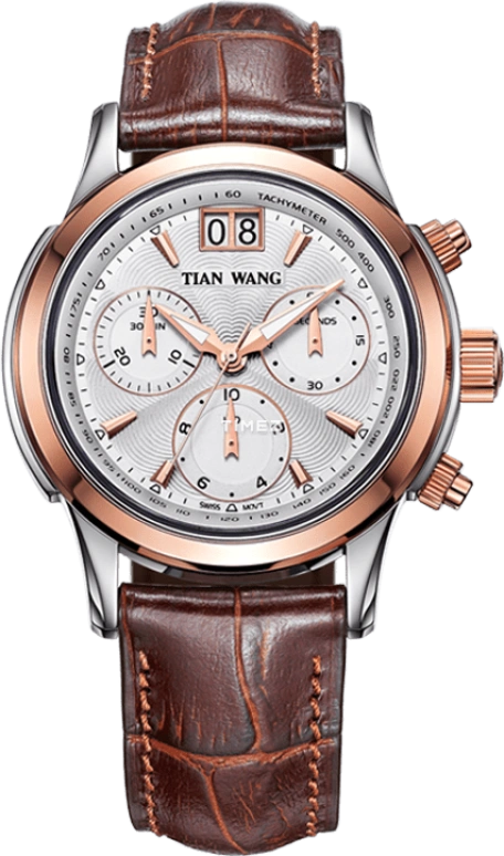 TianWang Elite 6869-3
