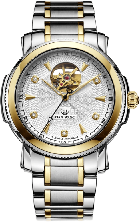 TianWang Elite 8688