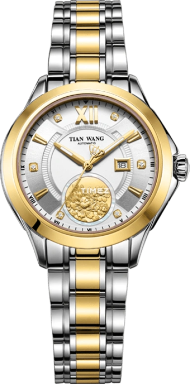 TianWang Legend LS5878T/D